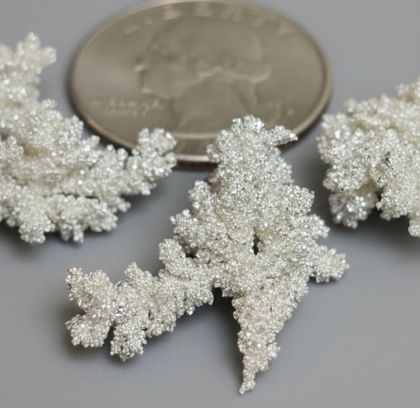.999+ Pure Fine Silver Crystalline pieces with a dendritic, snowflake pattern, shown next to a US quarter coin for scale on a dark textured background.